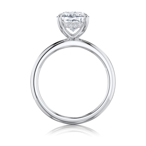 Nimbus Oval Diamond Hidden Halo Engagement Ring in Platinum