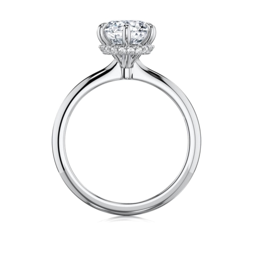 Rebarto Round Diamond Hidden Halo Engagement Ring in Platinum